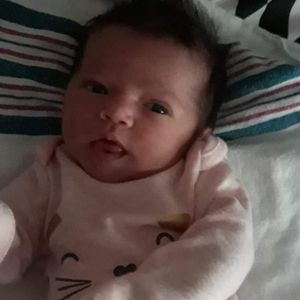 Meet your Posher, Joyce